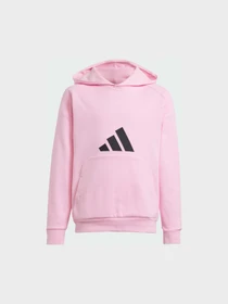 Худи и свитшоты Adidas модель JJ4786 Фото