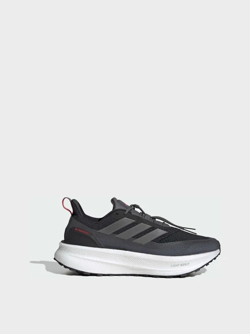 Кросівки Adidas Ultraboost модель JI1388 Фото