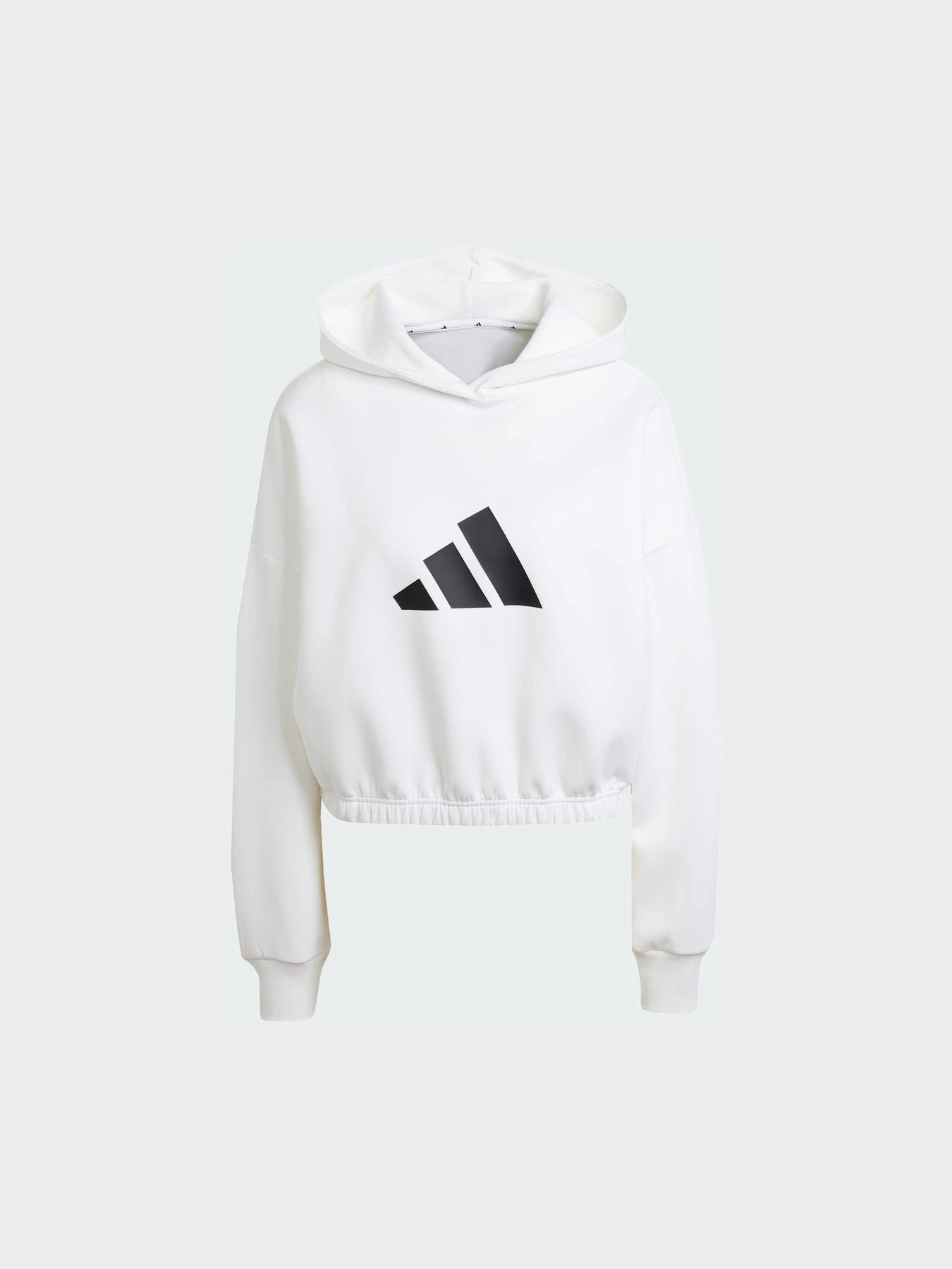 Худи и свитшоты Adidas модель JE0137 Фото
