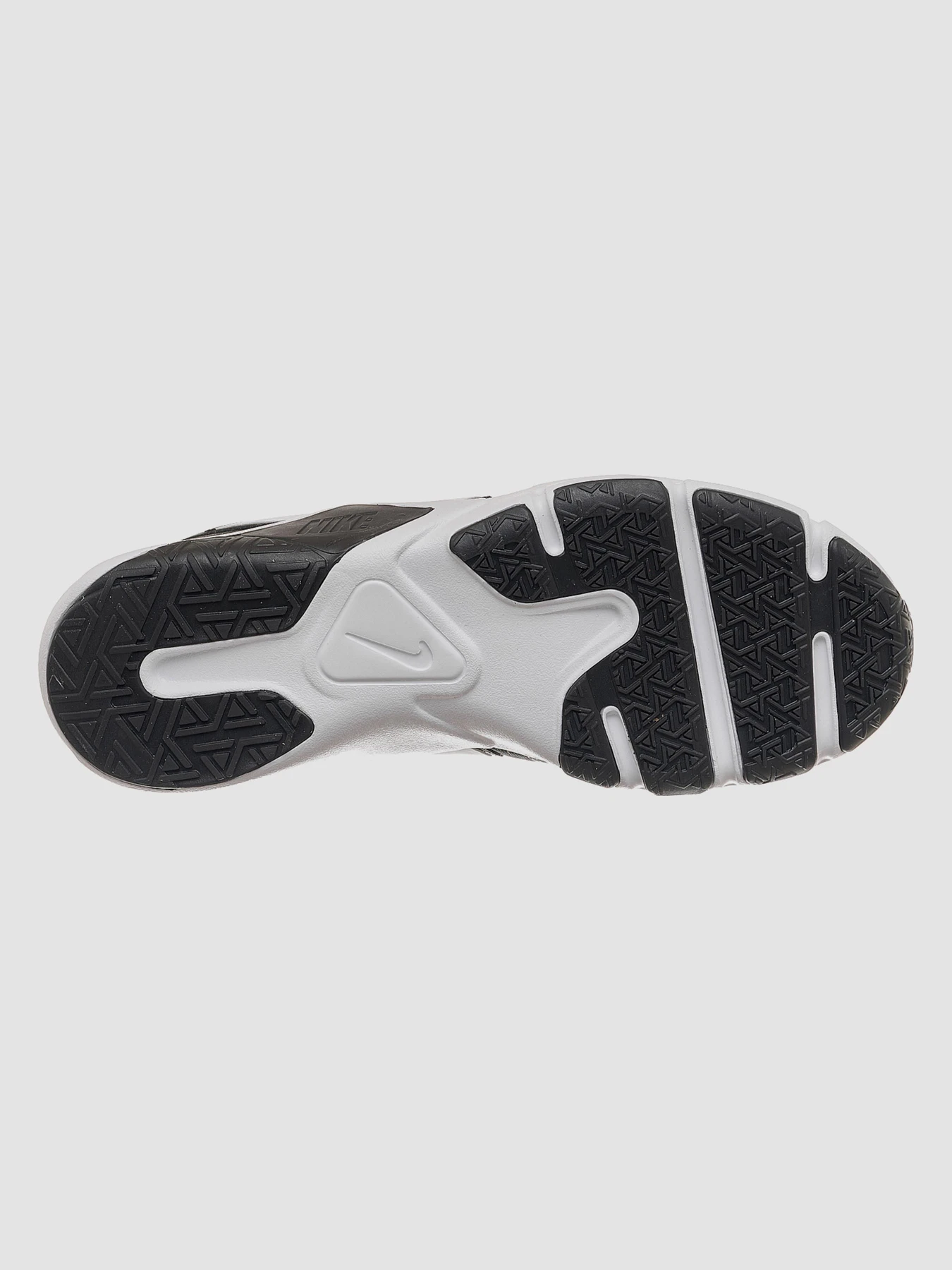 Кросівки NIKE Legend Essential 2 модель CQ9356-001 Фото