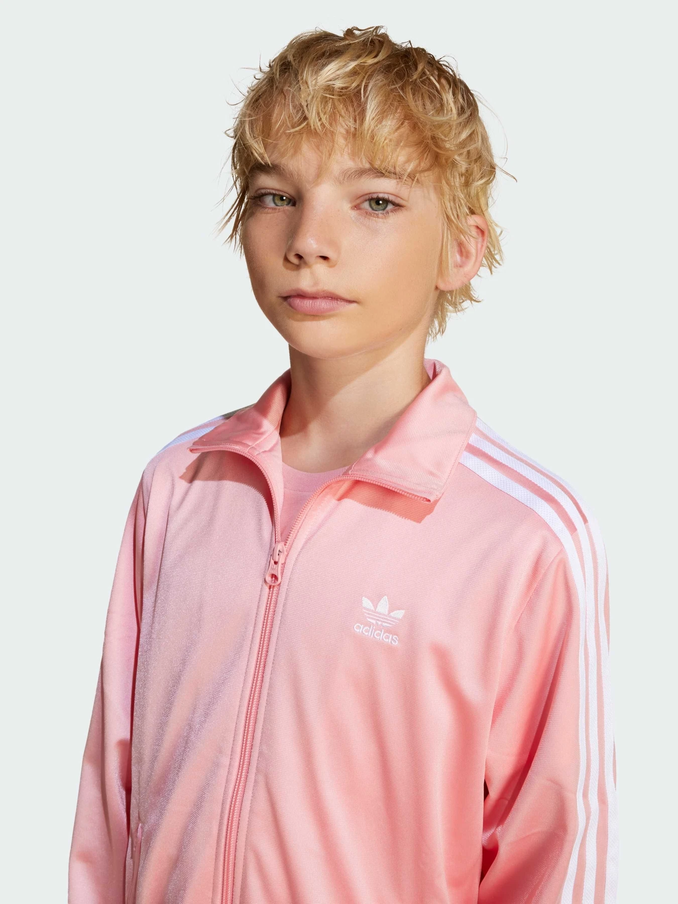 Худи и свитшоты Adidas Adicolor модель JD1622 Фото