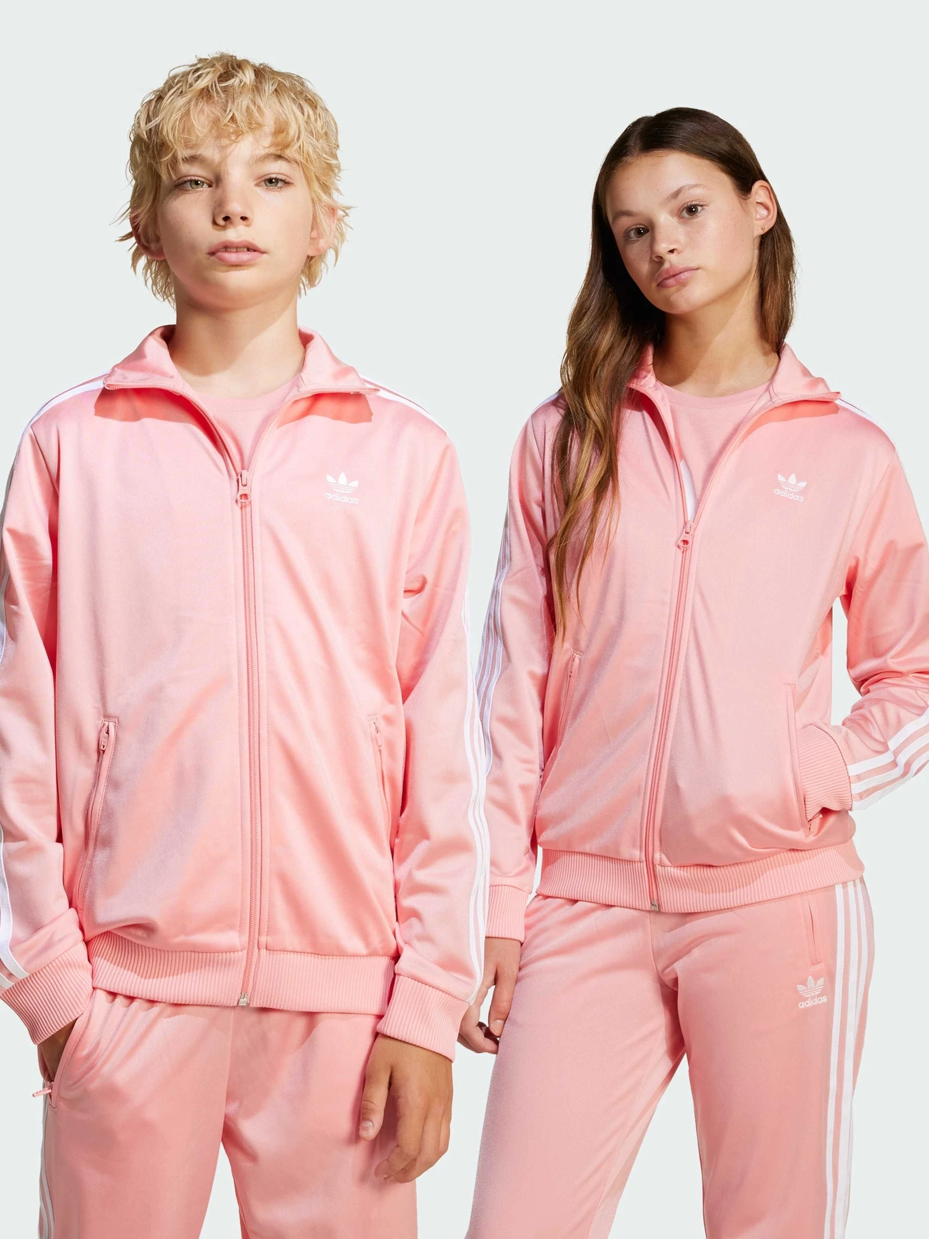 Худи и свитшоты Adidas Adicolor модель JD1622 Фото