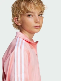 Худи и свитшоты Adidas Adicolor модель JD1622 Фото