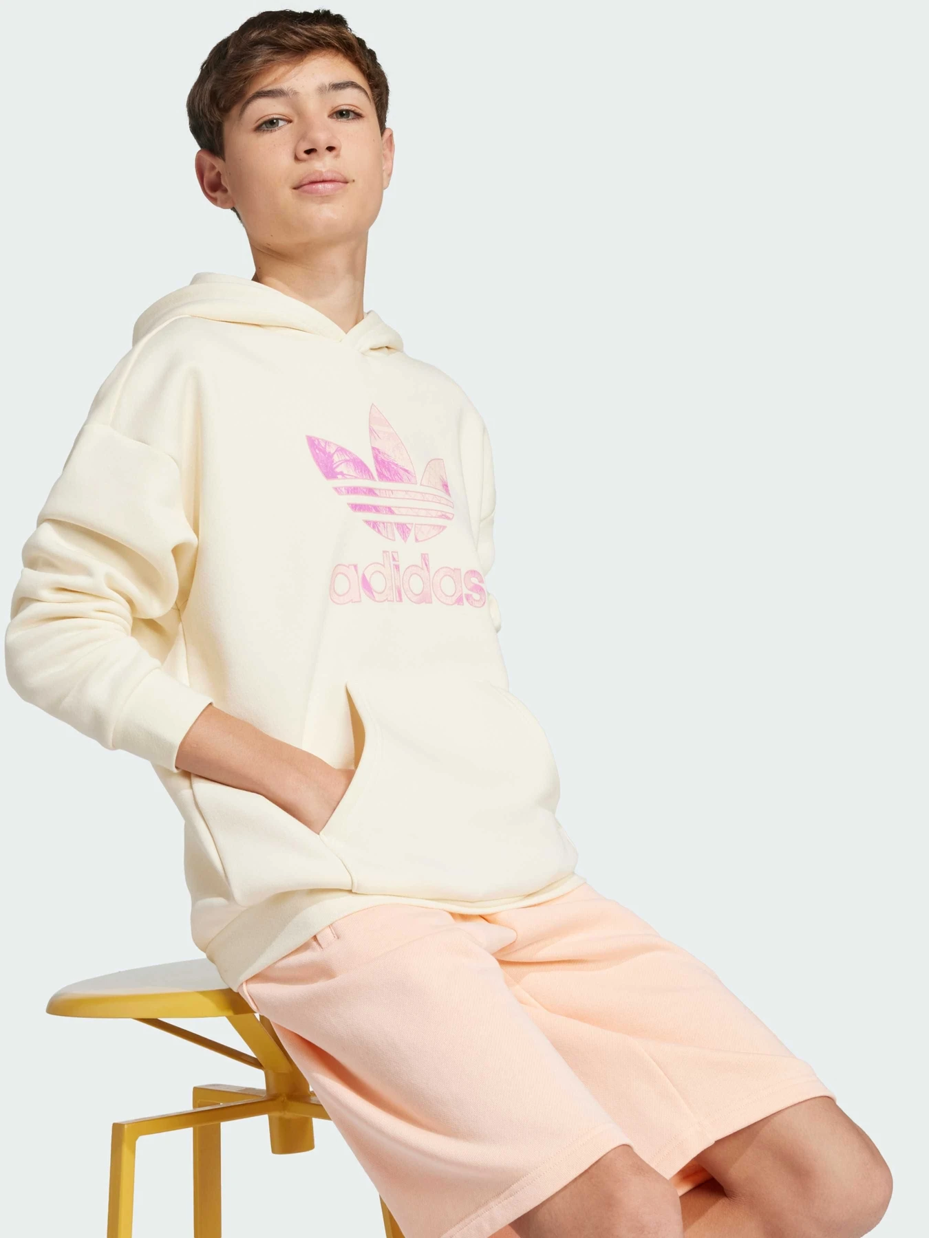 Худи и свитшоты Adidas модель JD2950 Фото
