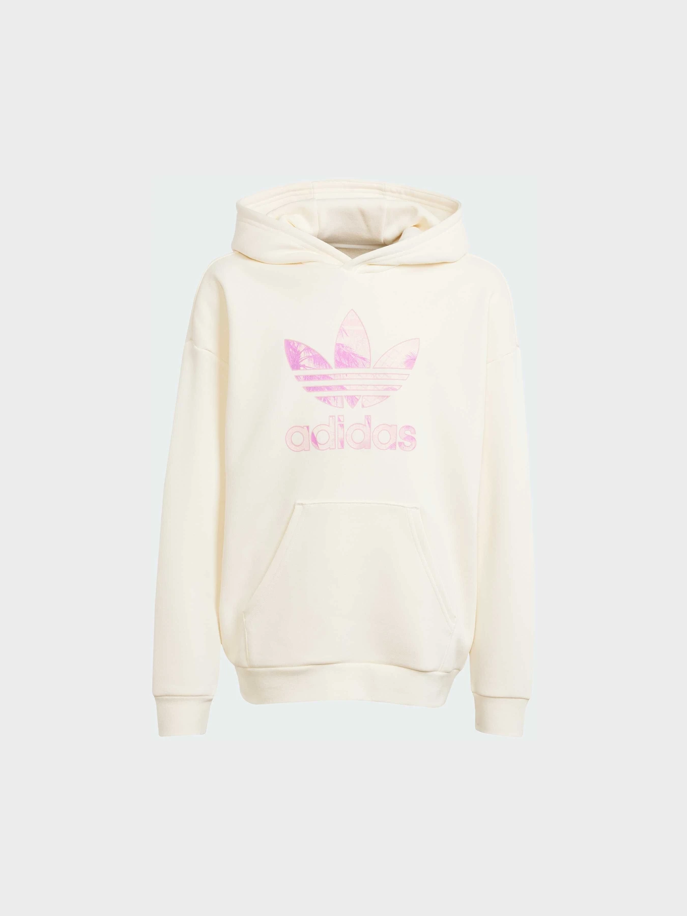 Худи и свитшоты Adidas модель JD2950 Фото