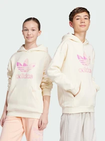 Худи и свитшоты Adidas модель JD2950 Фото