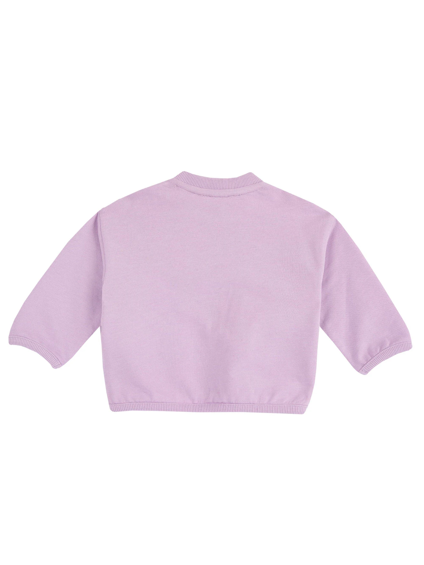 Худи и свитшоты Chicco модель 090.69868.012 Фото