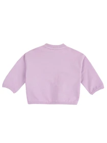 Худи и свитшоты Chicco модель 090.69868.012 Фото