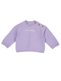Худи и свитшоты Chicco модель 090.69868.012 Фото