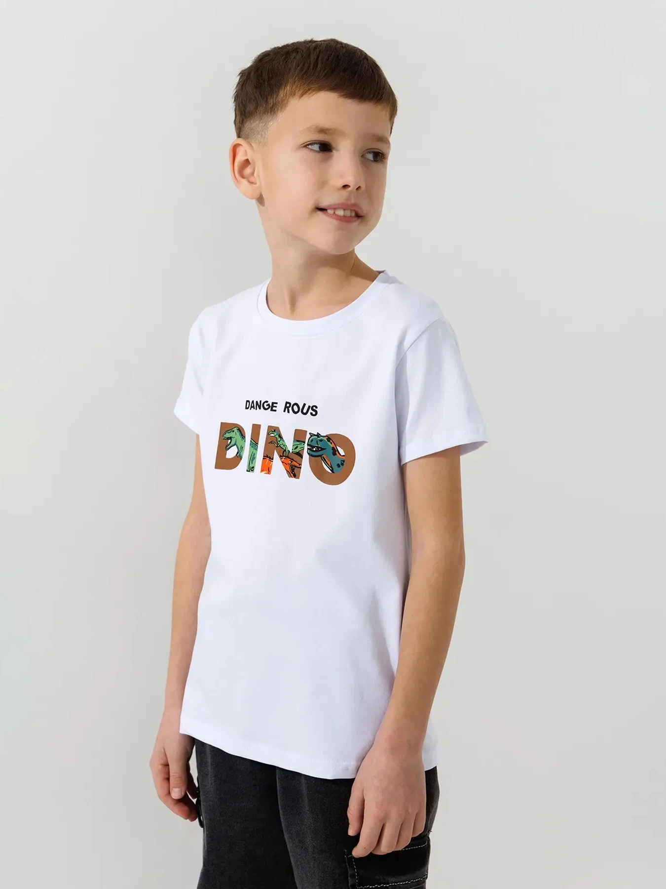 Футболки и поло Dinomin модель 2000991022751 Футболки и поло Dinomin модель 2000991022751 Фото