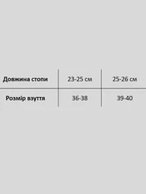 Шкарпетки та гольфи Giulia wf1 Terry Classic [WFC/TeSk-cl] модель UP-00001233 Фото