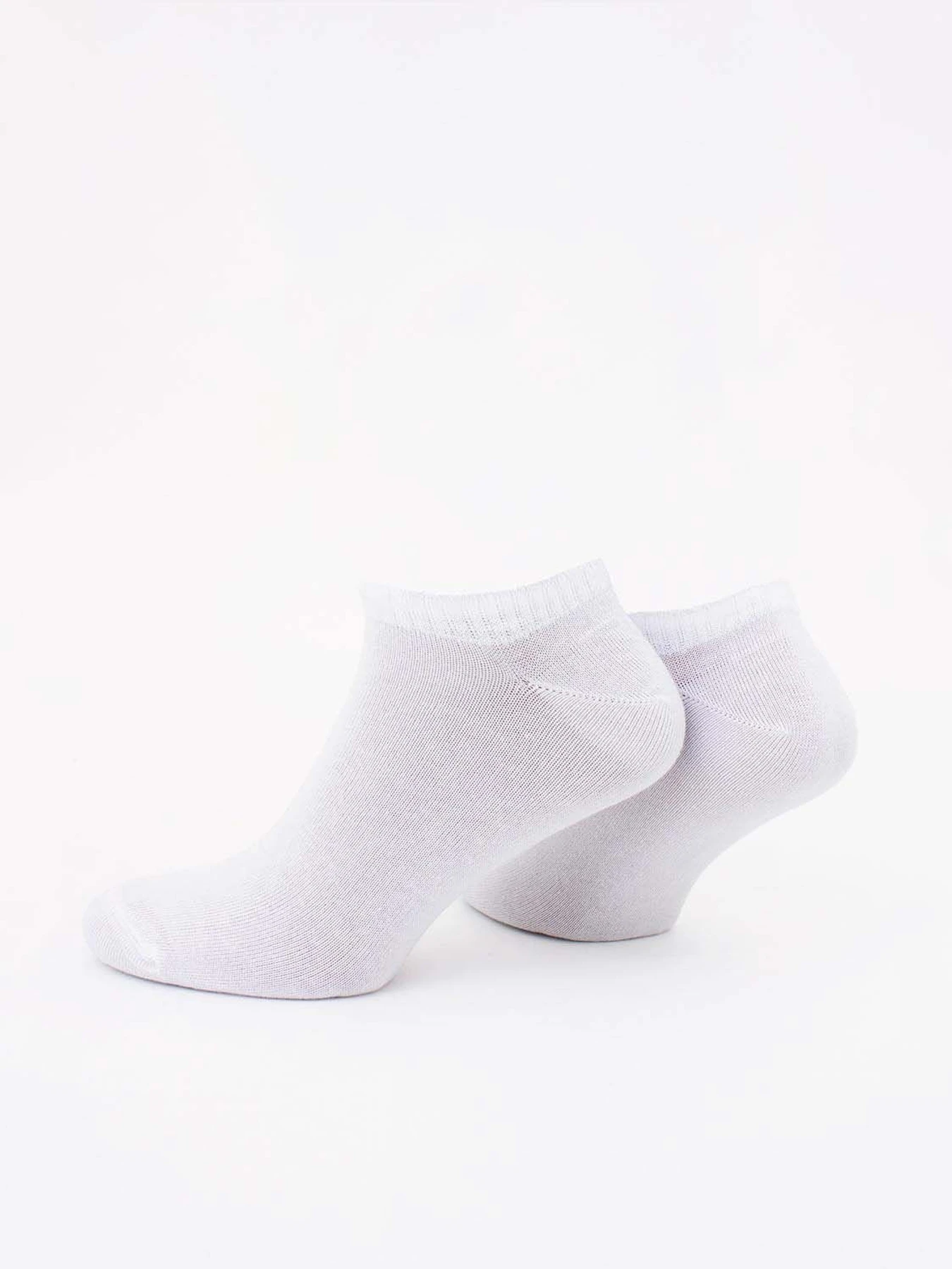 Носки и гольфы Giulia ms1 Soft Premium Classic [MS1C/Sl-cl] модель UP-00001625 Фото