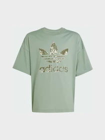 Футболки и поло Adidas Graphics модель JJ0278 Фото