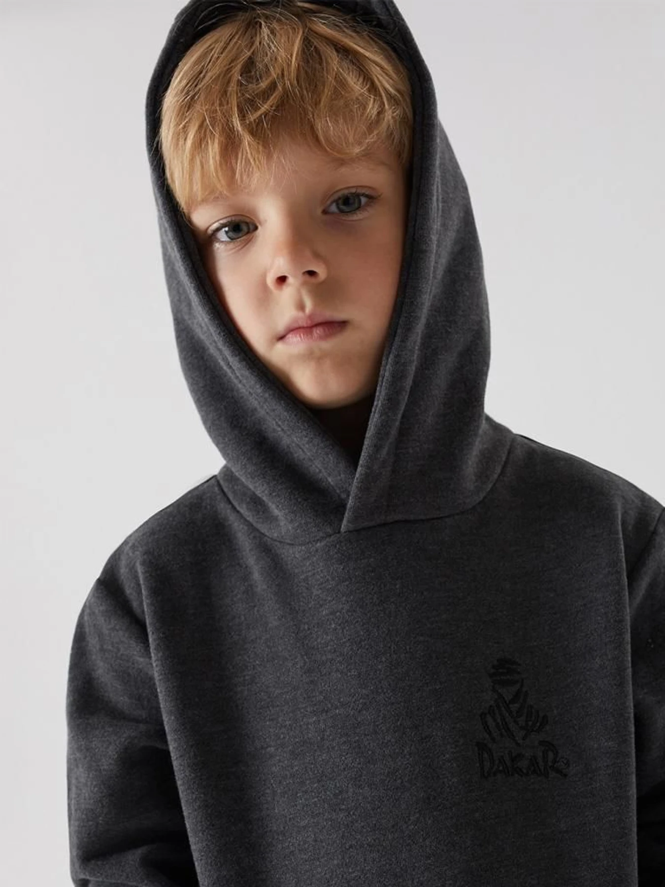 Худі та світшоти DIVERSE Dkr Kid H1 модель 10038478 Худі та світшоти DIVERSE Dkr Kid H1 модель 10038478 Фото