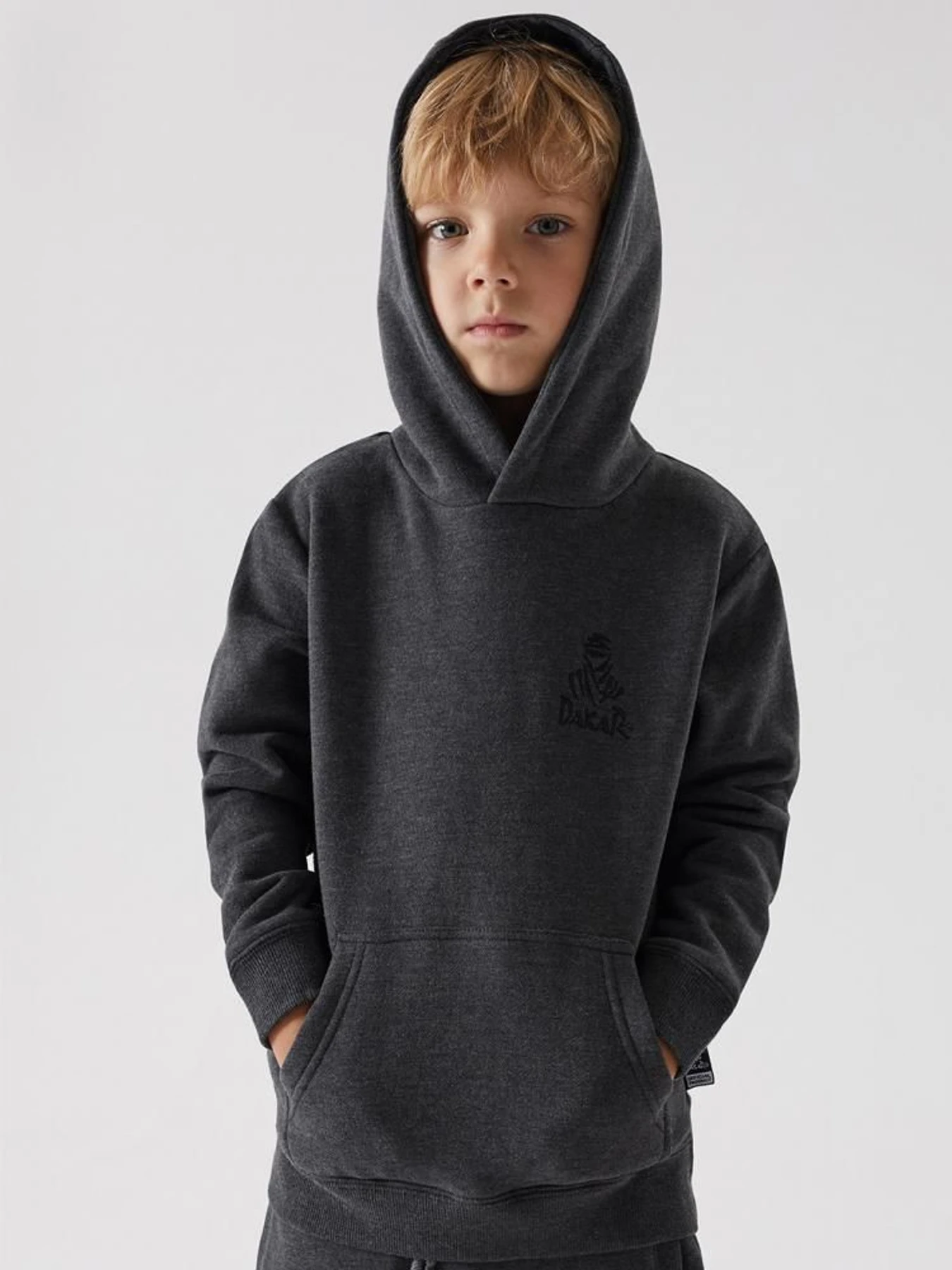 Худі та світшоти DIVERSE Dkr Kid H1 модель 10038478 Худі та світшоти DIVERSE Dkr Kid H1 модель 10038478 Фото