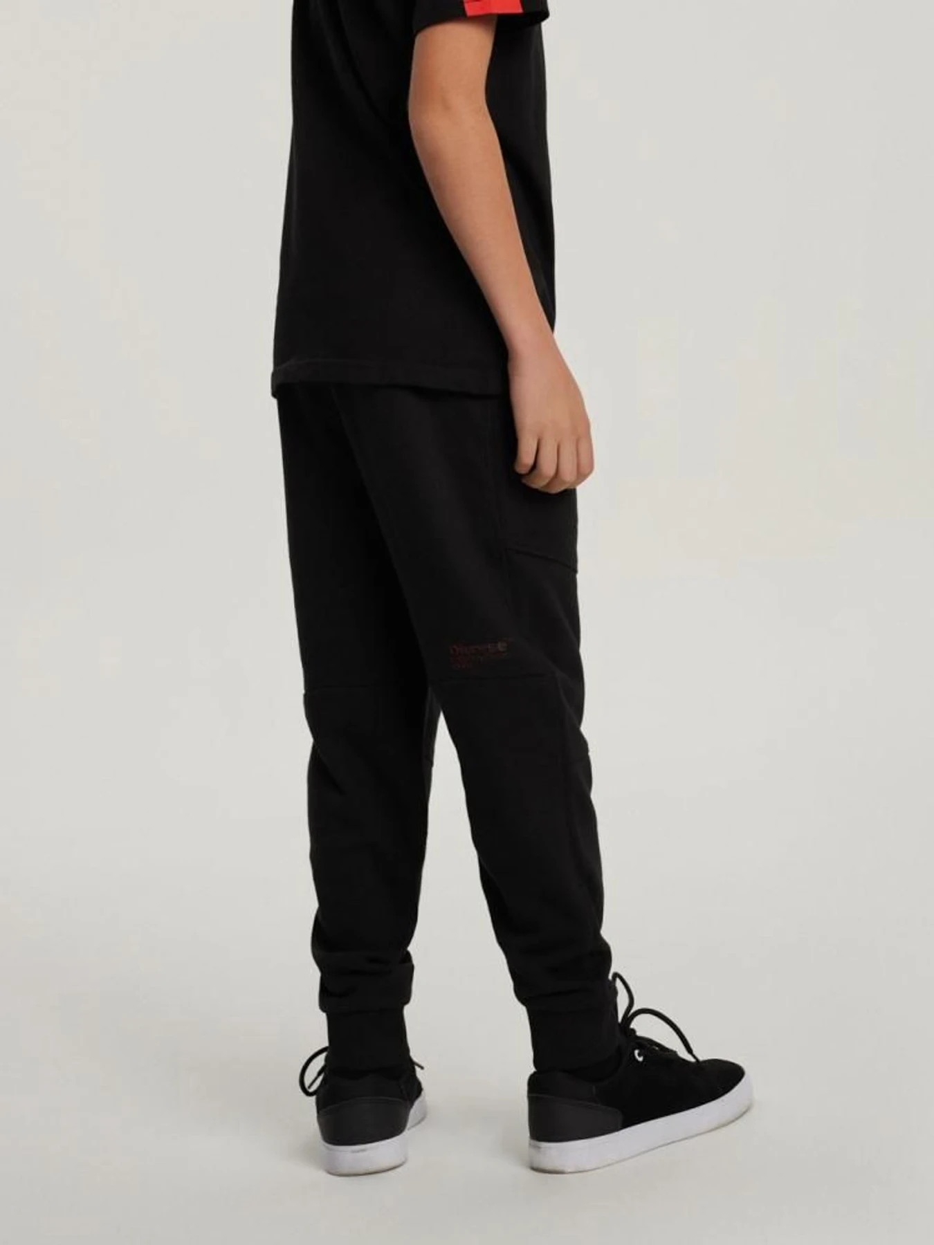 Штани DIVERSE модель 10040944 Фото