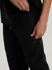 Штани DIVERSE модель 10040944 Фото