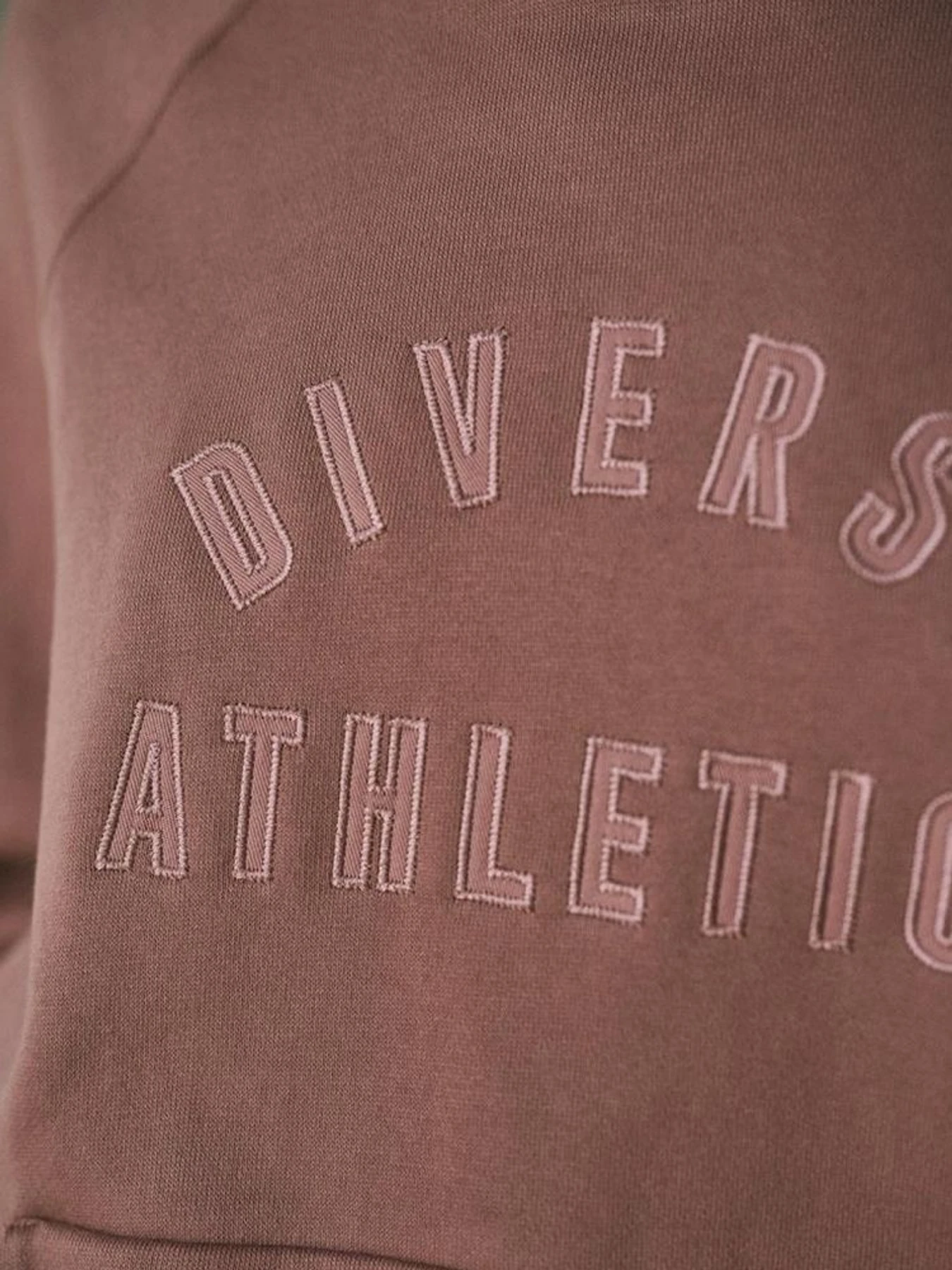Худи и свитшоты DIVERSE модель 10045310 Худи и свитшоты DIVERSE модель 10045310 Фото
