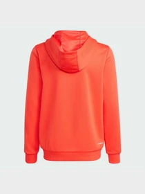 Худі та світшоти Adidas модель IK3113 Фото