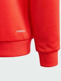 Худі та світшоти Adidas модель IK3113 Фото