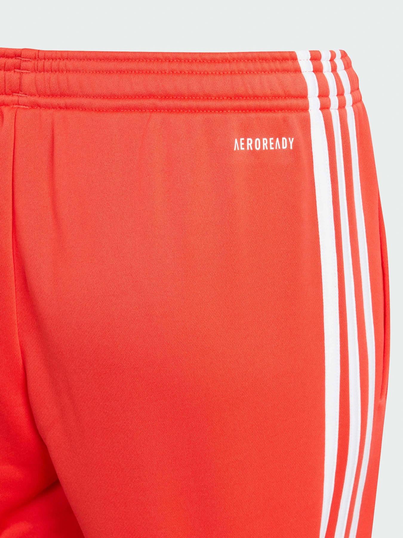 Брюки Adidas модель IJ9549 Фото