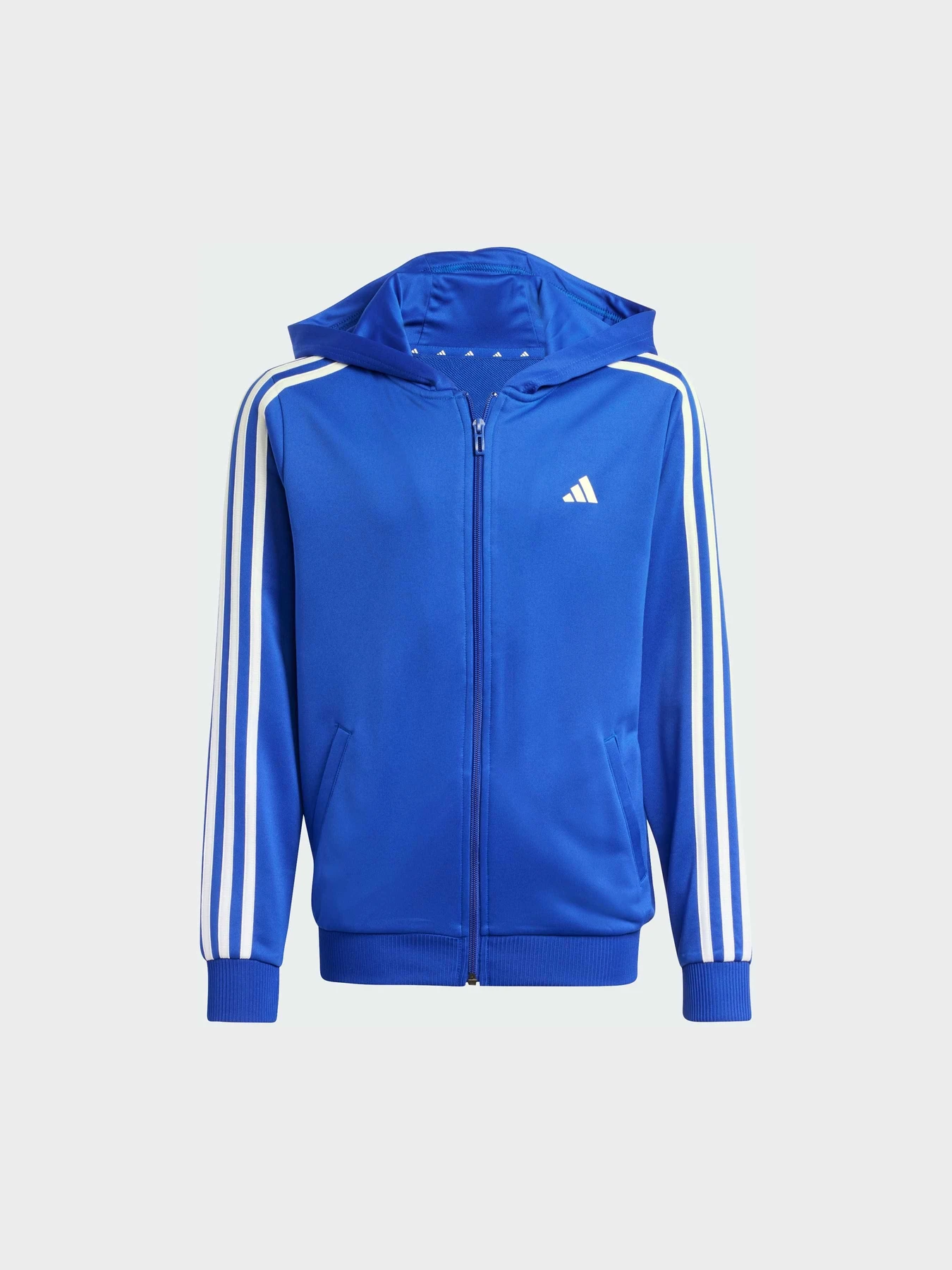 Худі та світшоти Adidas модель IP2418 Худі та світшоти Adidas модель IP2418 Фото