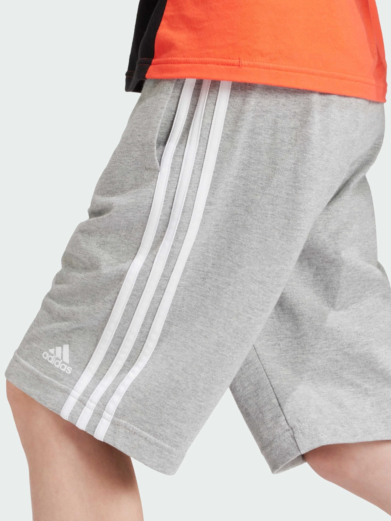 Шорты Adidas модель IS2573 Шорты Adidas модель IS2573 Фото