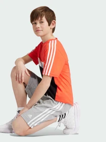 Шорты Adidas модель IS2573 Фото