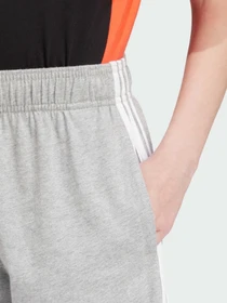 Шорты Adidas модель IS2573 Фото