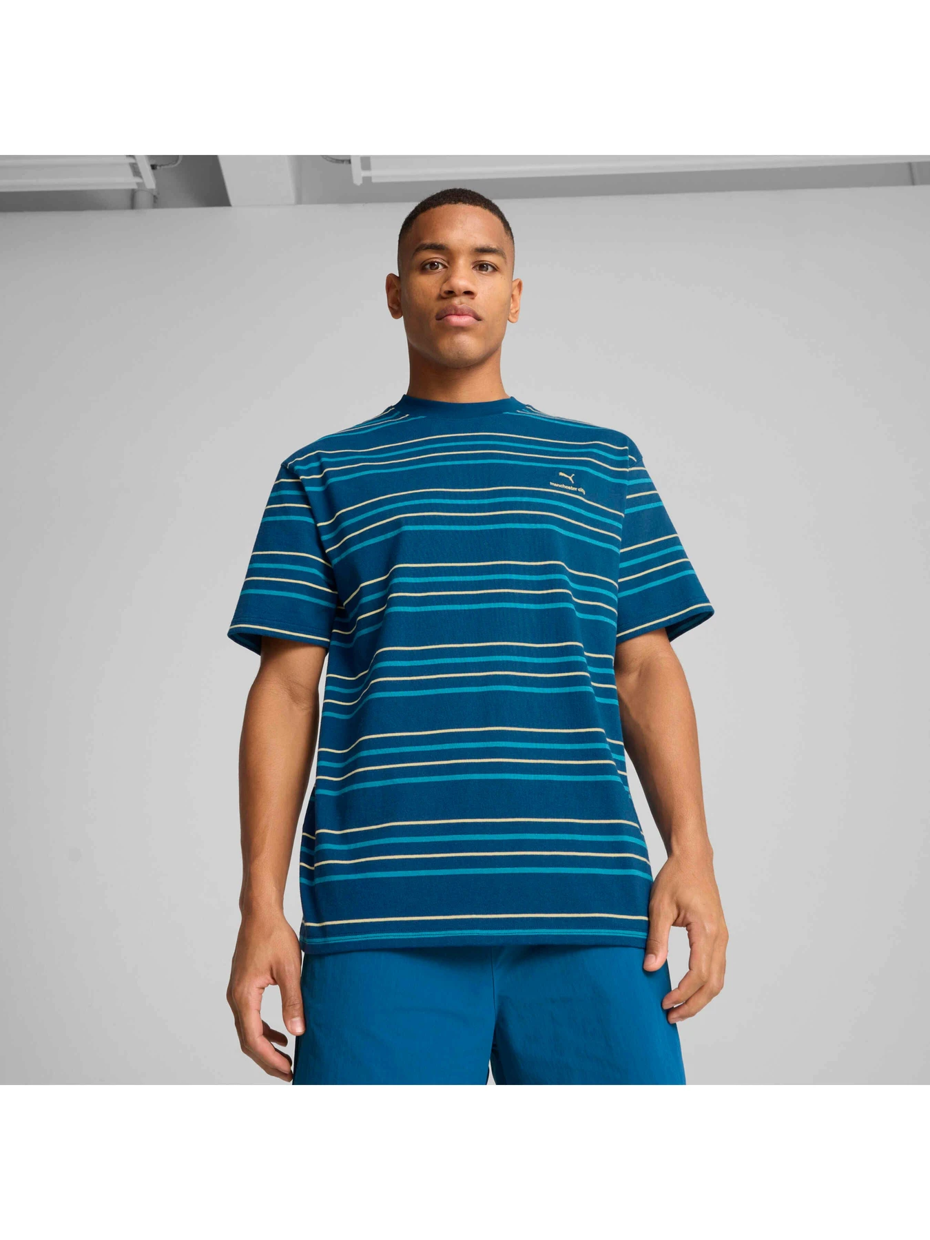 Футболки і поло PUMA Mcfc Mmq Striped Tee модель 780837 Фото