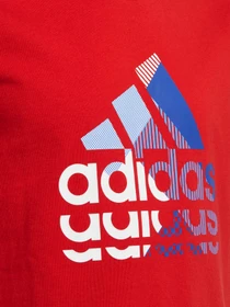 Футболки и поло Adidas модель IB9161 Фото