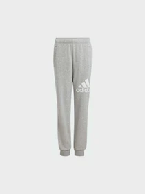Брюки Adidas модель IX9587 Фото