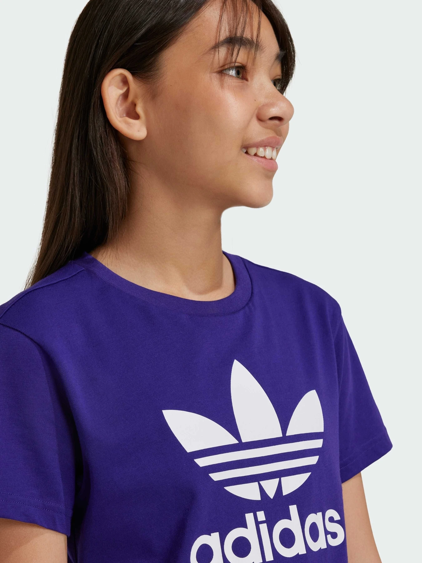 Футболки и поло Adidas Adicolor модель IY7427 Фото