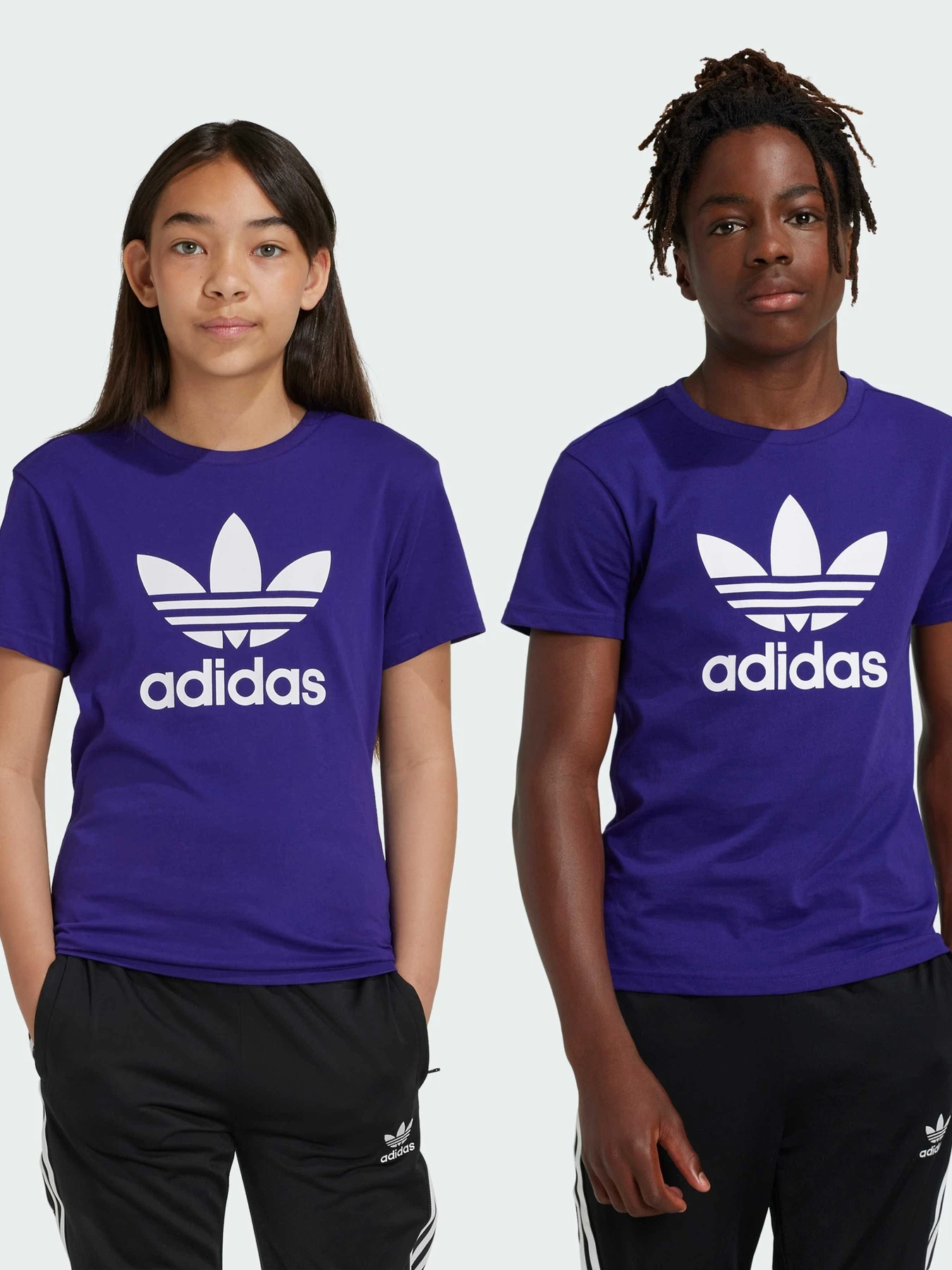 Футболки и поло Adidas Adicolor модель IY7427 Фото