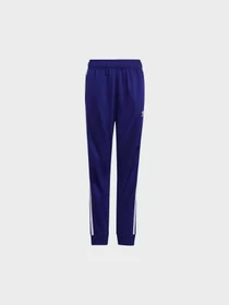 Штани Adidas Adicolor модель IY7464 Фото