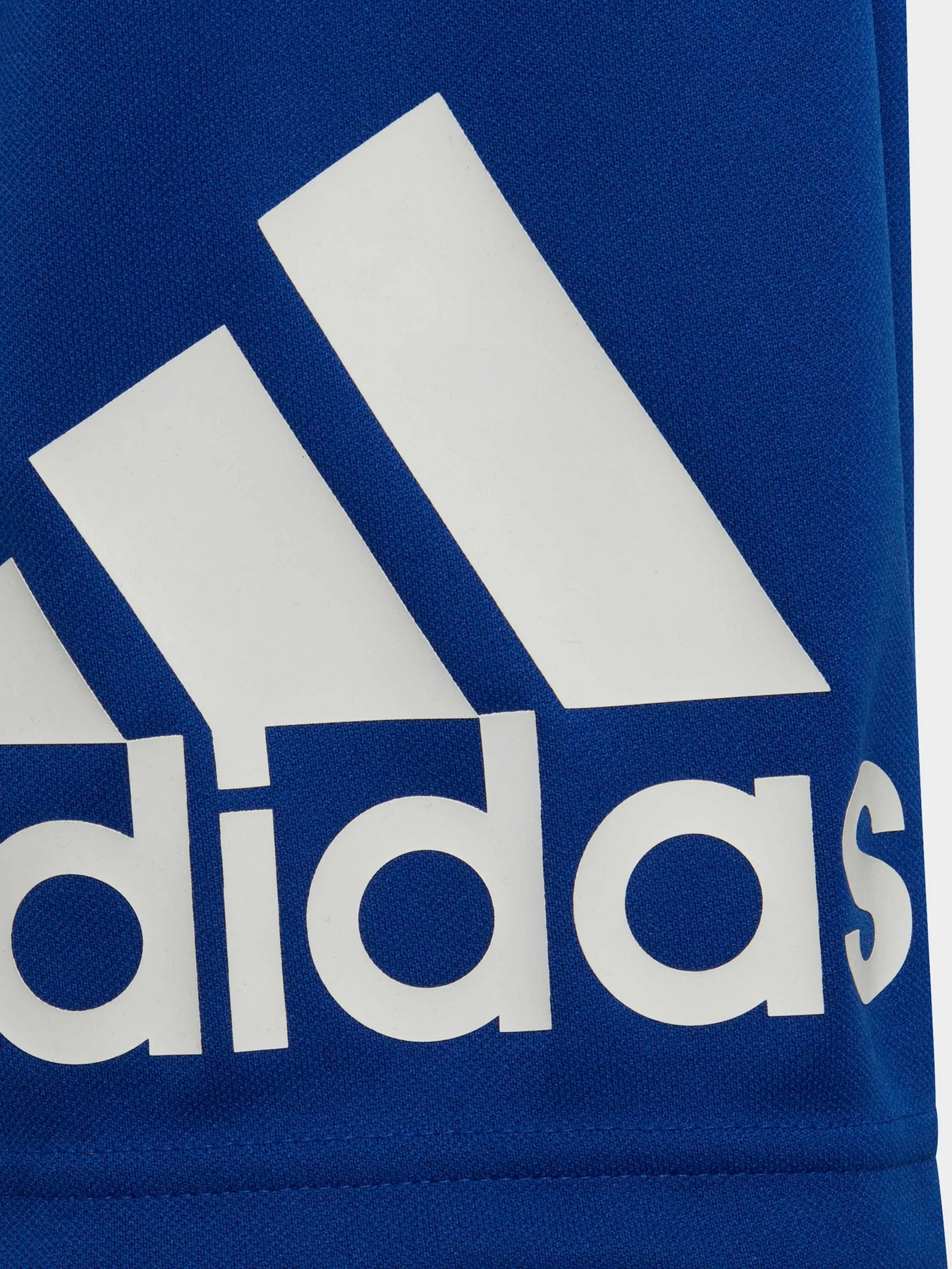 Шорты Adidas модель HE9334 Фото