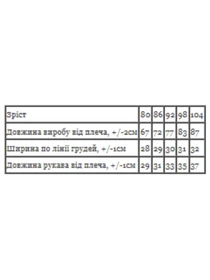 Одяг для немовлят Носи своє модель 5076-016-5-kicq-svtla-m-qta Фото