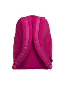 Рюкзаки Bagland модель BGDriveRaspberryPinkRKZK Фото