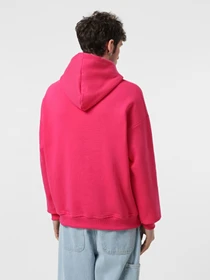 Худі та світшоти Ейсік модель HoodieEysikPink Фото