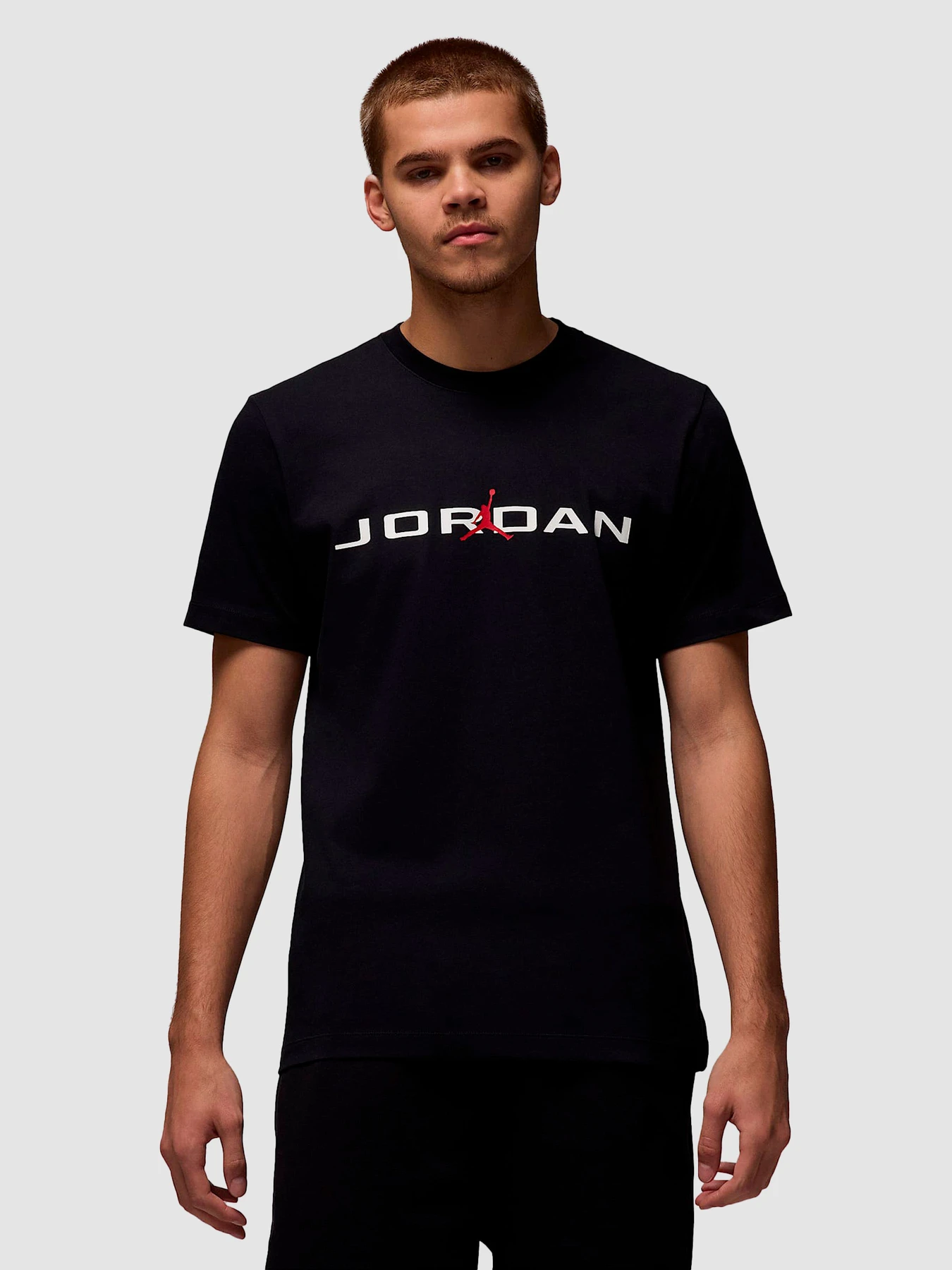 Футболки и поло Jordan Air T-Shirt модель IB7353-010 Фото