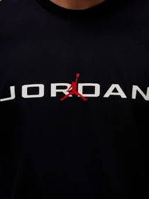 Футболки и поло Jordan Air T-Shirt модель IB7353-010 Фото