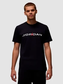 Футболки и поло Jordan Air T-Shirt модель IB7353-010 Фото