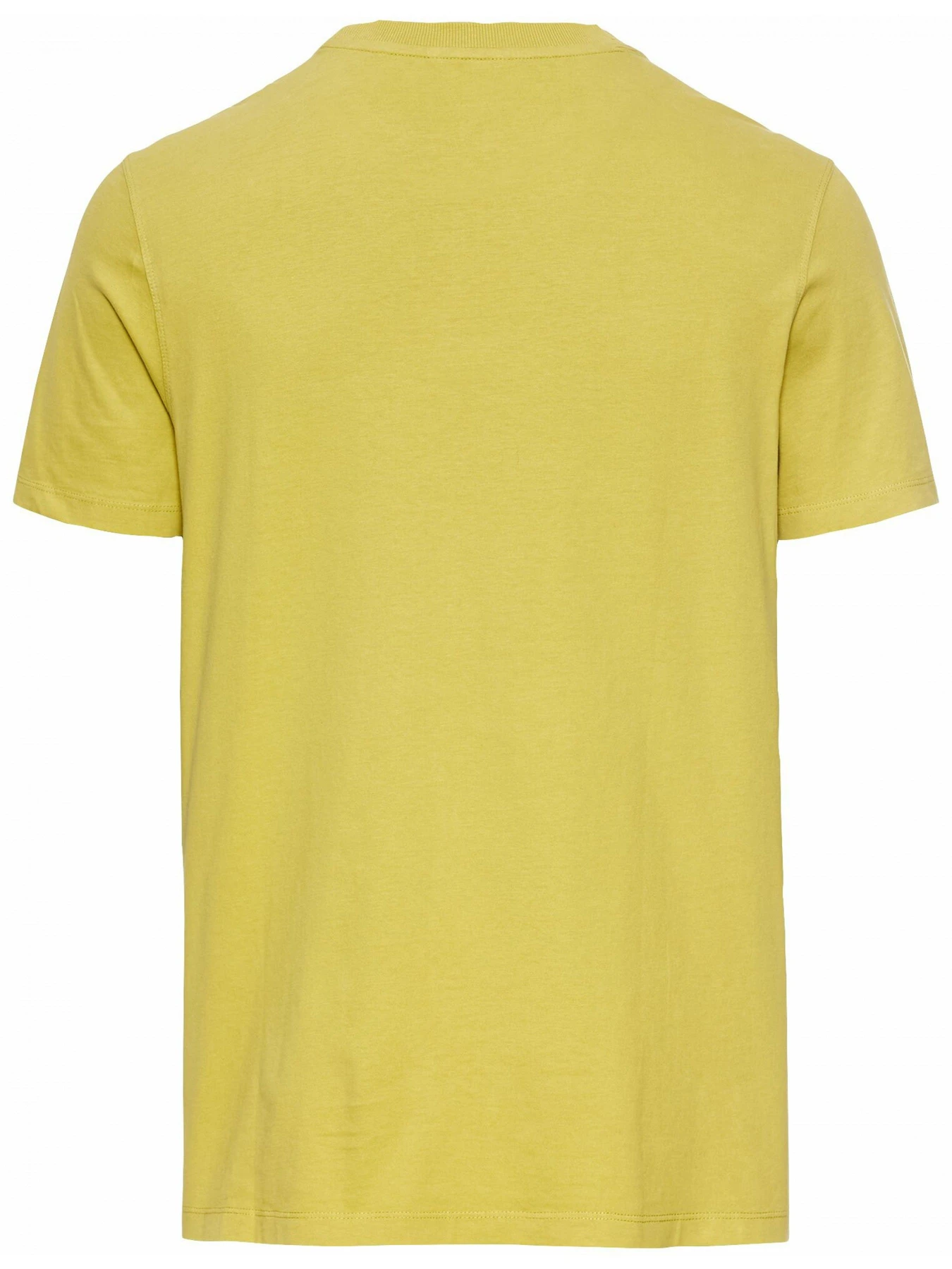 Футболки и поло Camel Active T-shirt 1/2 модель 409700-5T17-33 Футболки и поло Camel Active T-shirt 1/2 модель 409700-5T17-33 Фото