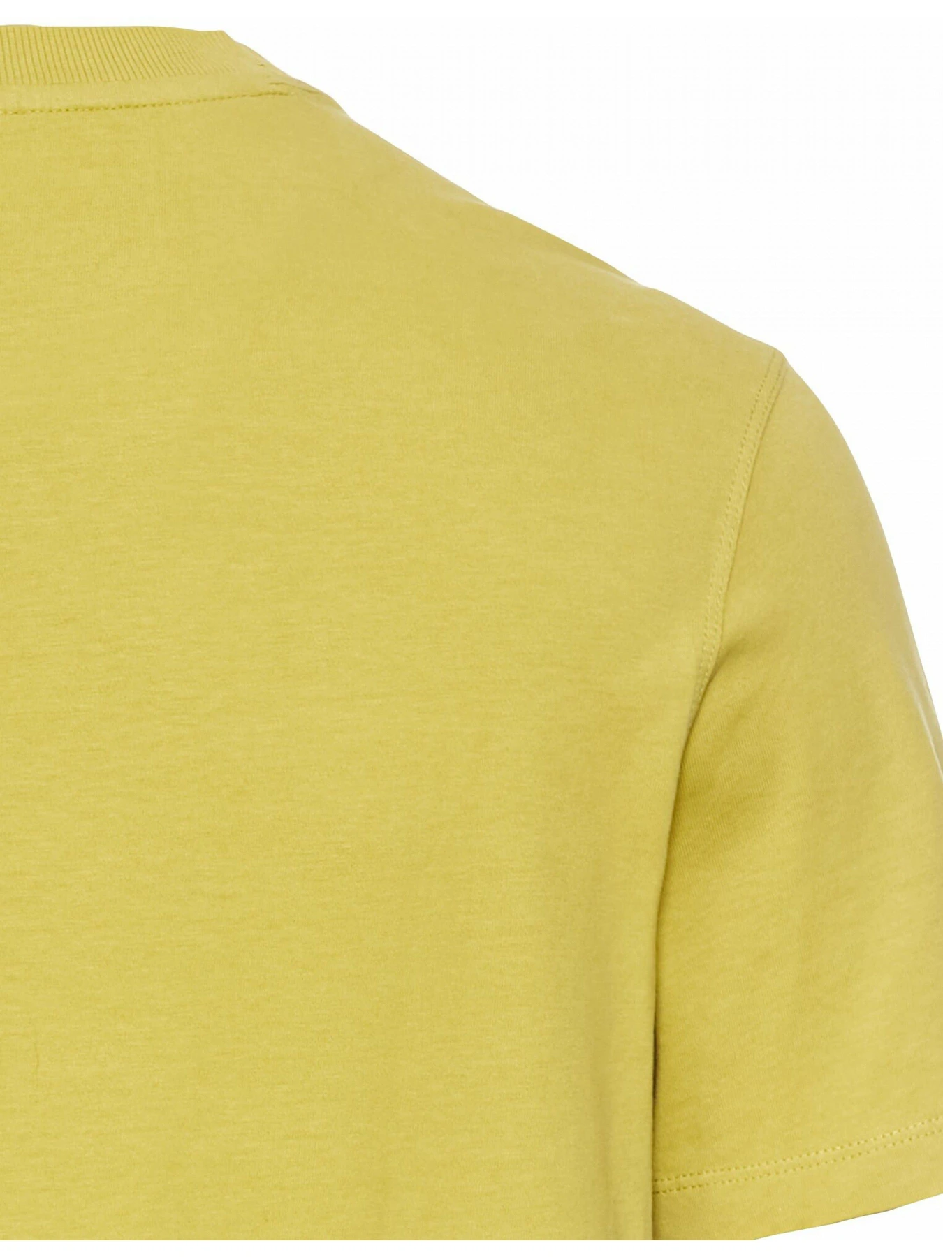Футболки і поло Camel Active T-shirt 1/2 модель 409700-5T17-33 Футболки і поло Camel Active T-shirt 1/2 модель 409700-5T17-33 Фото