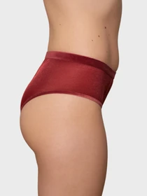 Нижня білизна Brabrabra модель SLZ27302311_burgundy Фото