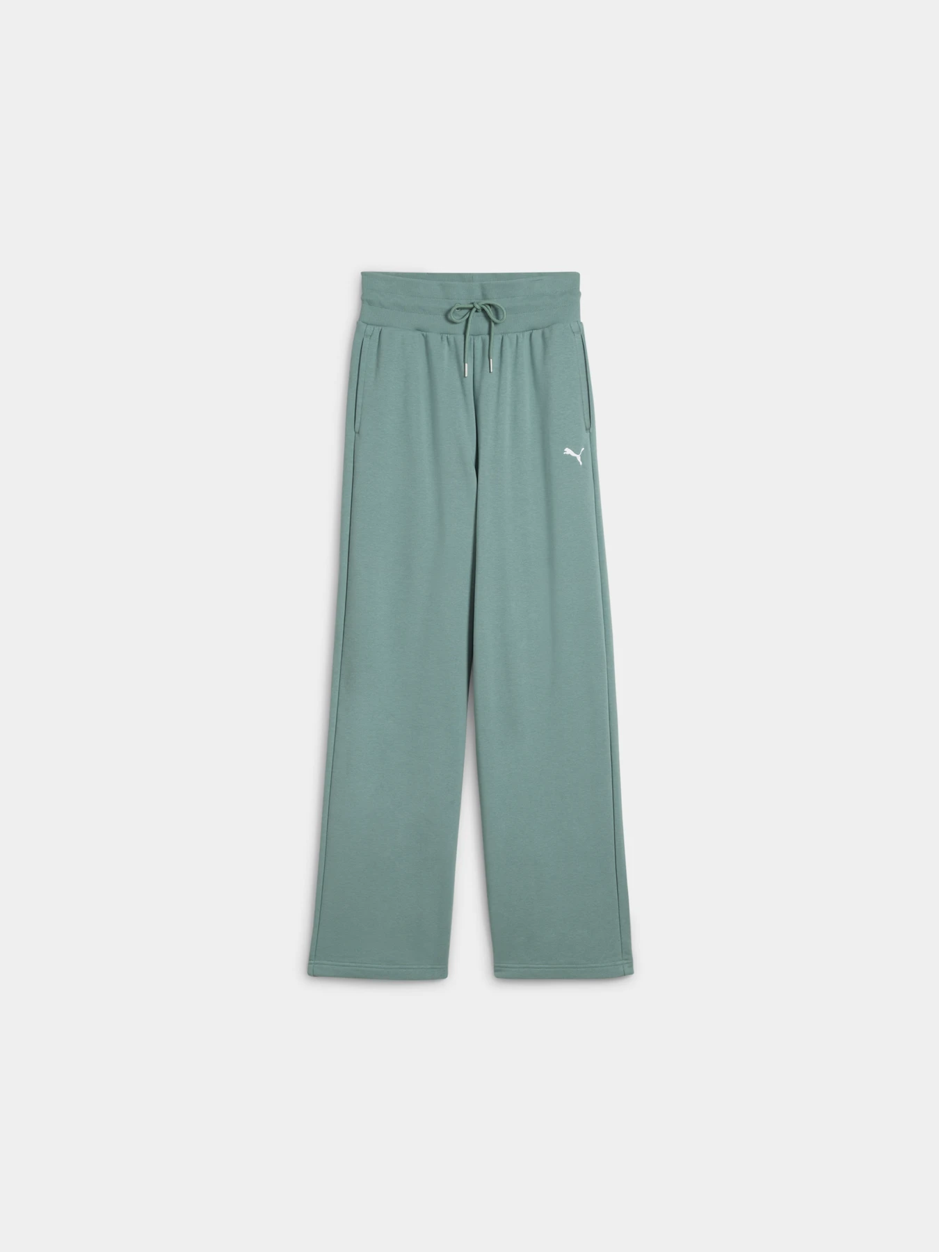 Брюки PUMA Wardrobe Ess Sweatpants модель 629754 Фото
