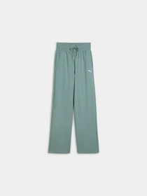 Брюки PUMA Wardrobe Ess Sweatpants модель 629754 Фото