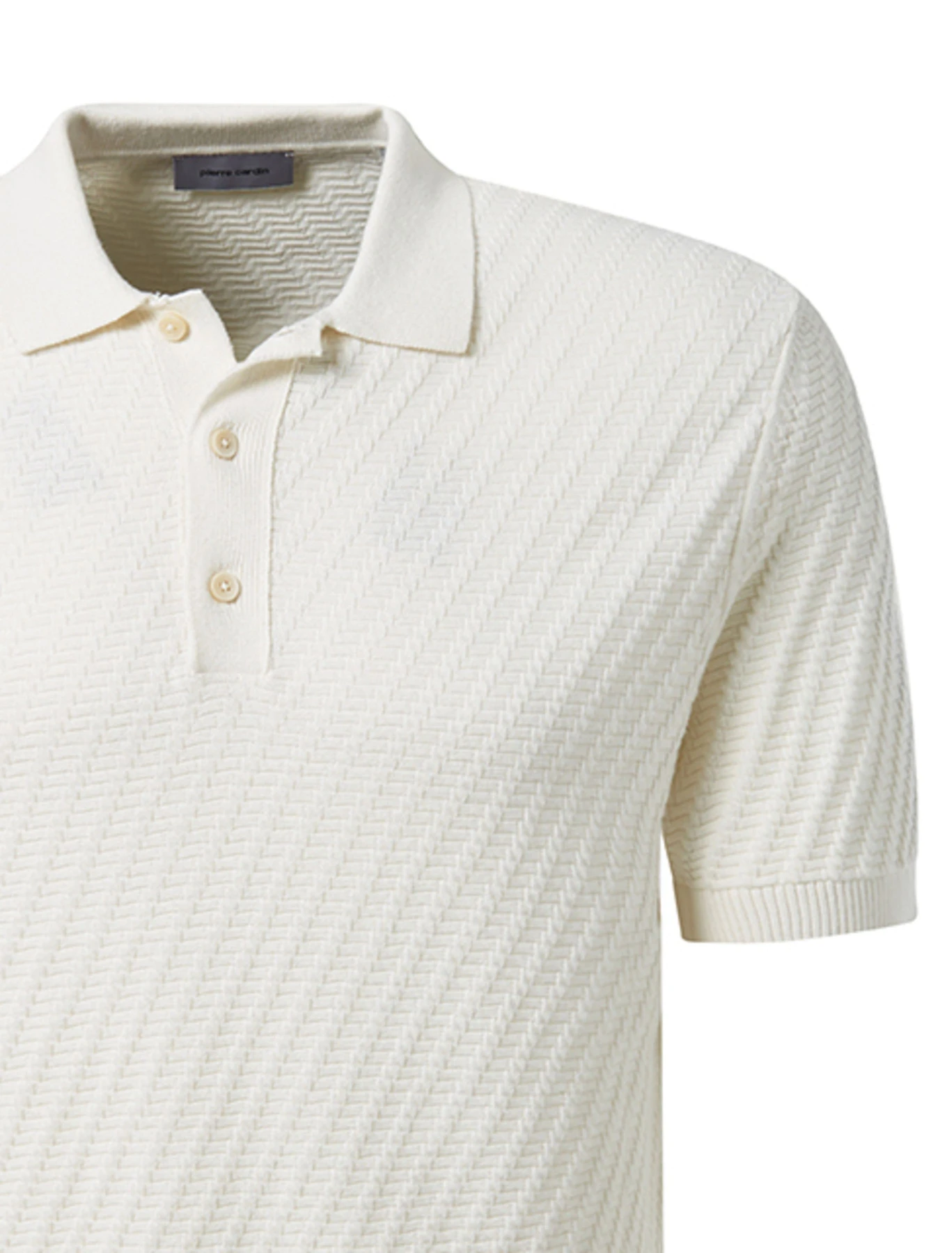Футболки і поло Pierre Cardin модель C5 51314.5094.1006 Футболки і поло Pierre Cardin модель C5 51314.5094.1006 Фото