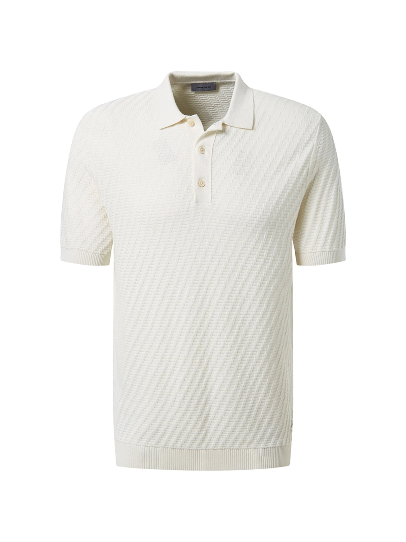 Футболки і поло Pierre Cardin модель C5 51314.5094.1006 Футболки і поло Pierre Cardin модель C5 51314.5094.1006 Фото