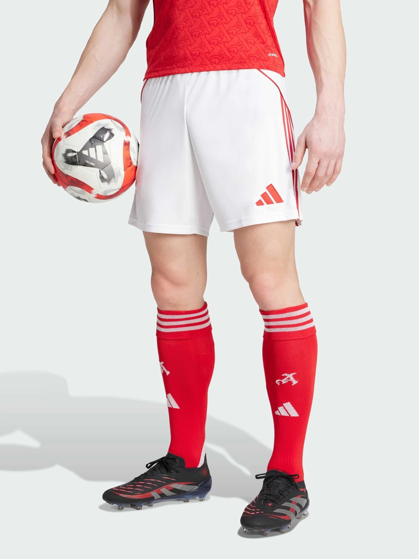 Шорты Adidas модель JI9515 Фото